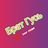 Аватар Брат Гусь