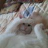 Аватар ЛЩООО