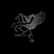 Аватар Данил Воронежский