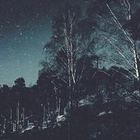 Аватар Ваня Алмазов