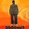 Аватар coconut