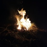 Аватар Артём Жуков_2