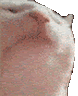 Аватар ddd_99