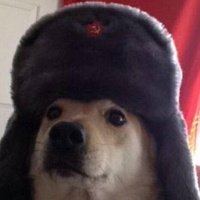 Аватар fafaca