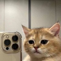 Аватар Даниил Беликов