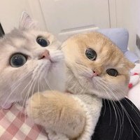 Аватар Михаил Толстых