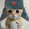Аватар Bumble Beezy