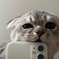 Аватар Котовус Рома