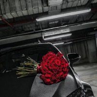Аватар Дима Гусев