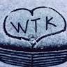 Аватар WTK Sakonai