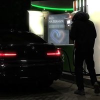 Аватар Никита Шишкалов