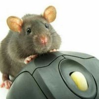 Аватар Arseniy Mouse