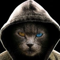 Аватар Миша Каширин