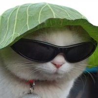 Аватар Даниил Симайчёнков