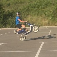 Аватар Angelminexyz Administrator