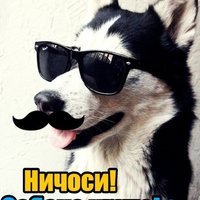 Аватар Антон Орлюков