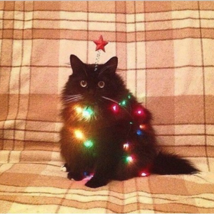 Кирилл Штауб