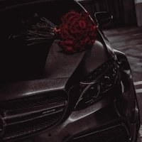 Аватар Vitya Ivanov