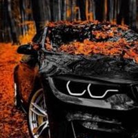 Аватар Максим Данникер
