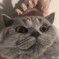 Аватар Валера Младенский