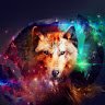 Аватар Wolf Zver