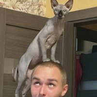 Аватар Василий Долматов