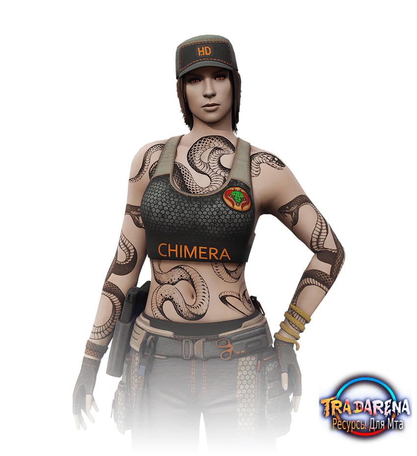 Скин Агент  10888 NEXTRP